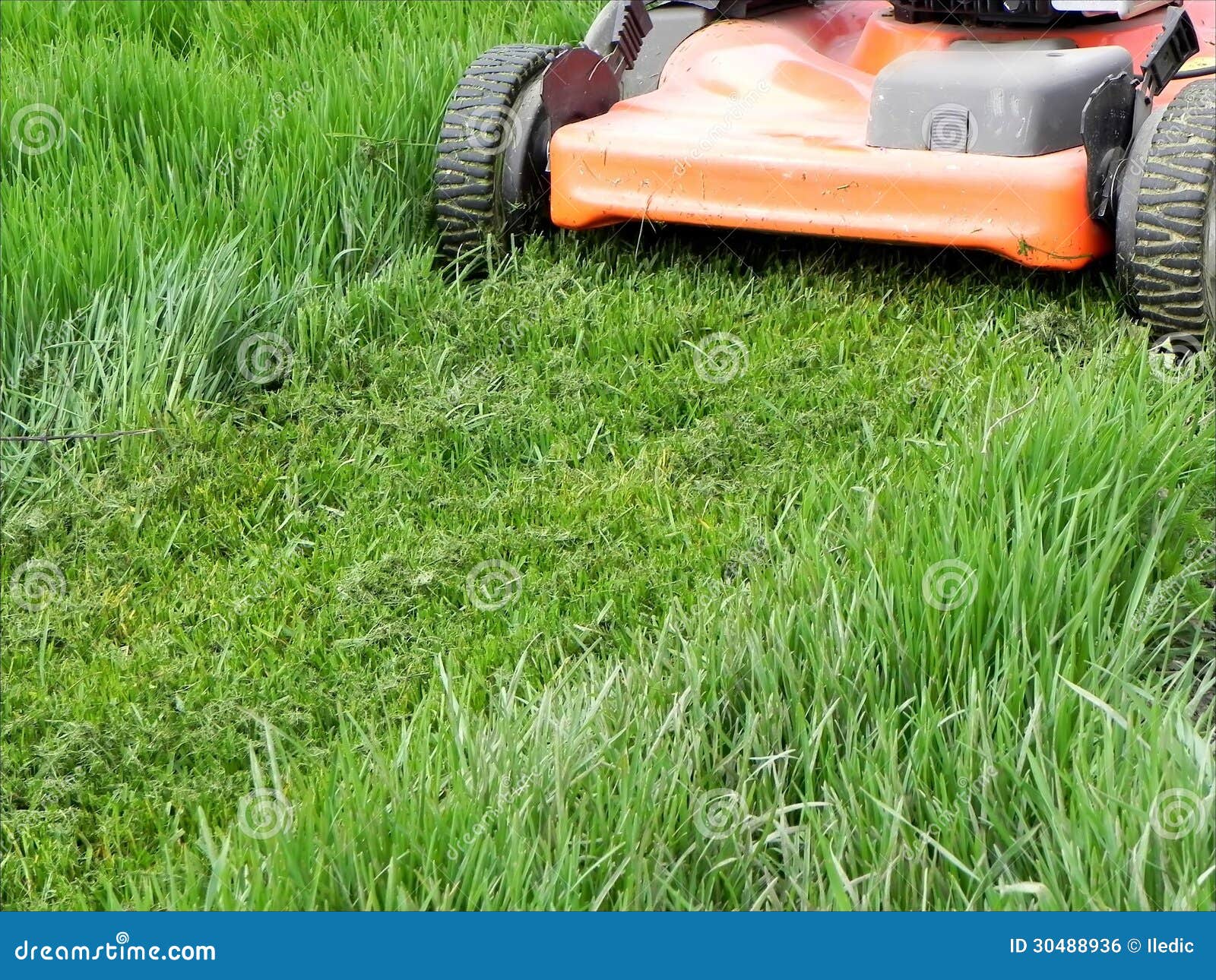 Grass mowing stock photo. Image of gardening, grass, mower 30488936