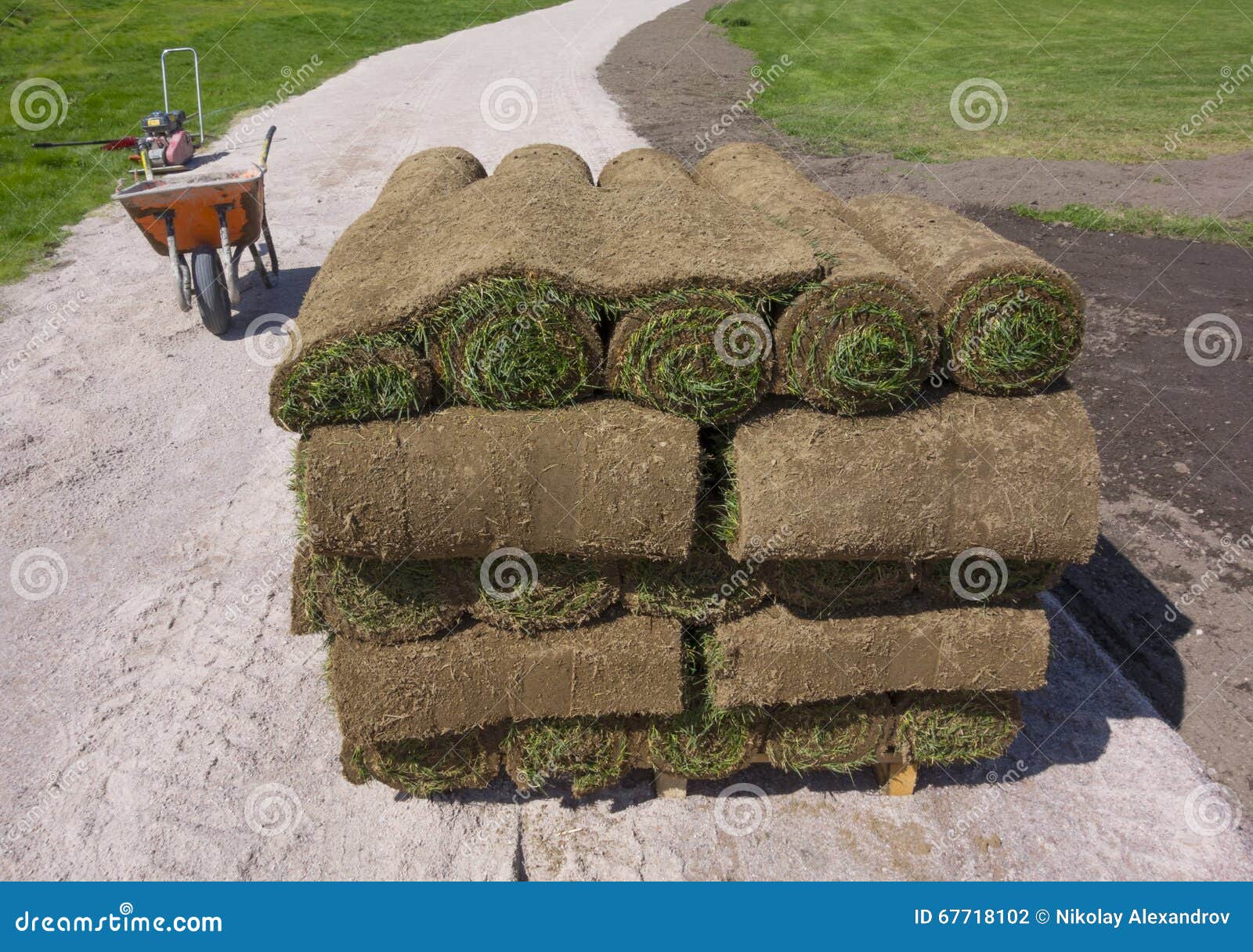 Grass on a pallet stock photo. Image of divot, ballpark 67718102