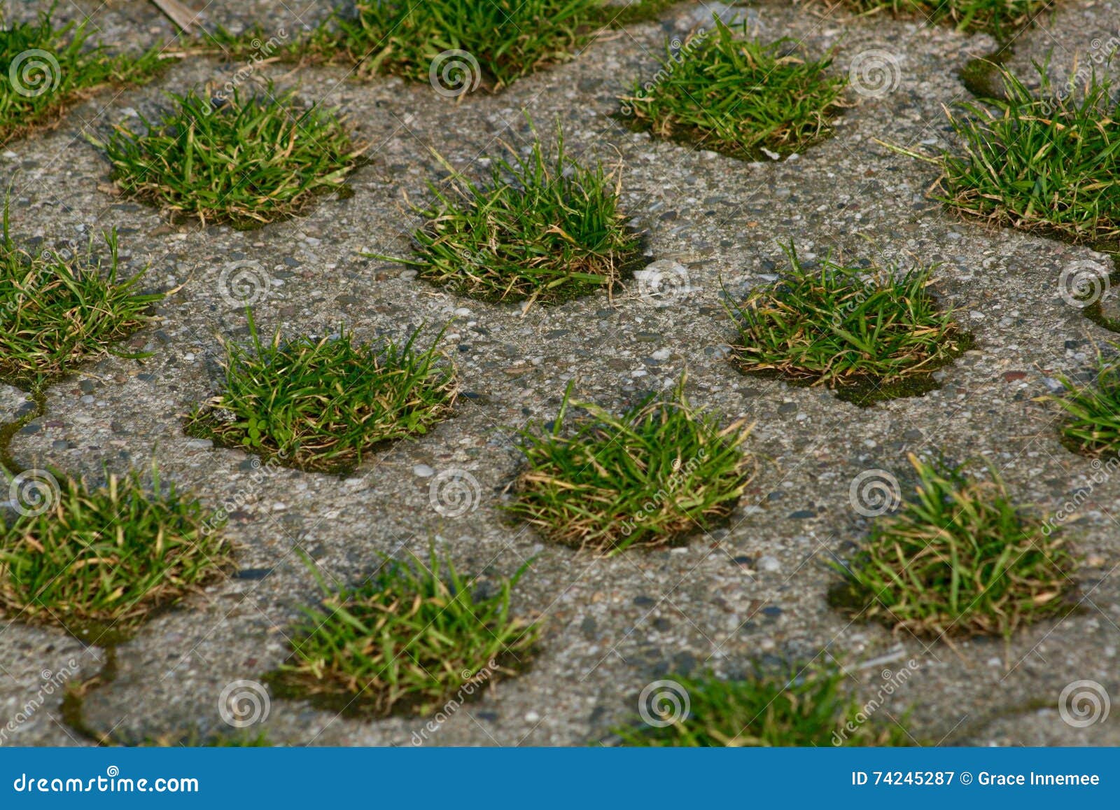 Grass Paving in Parking Lot Stock Image Image of grass, wallpaper