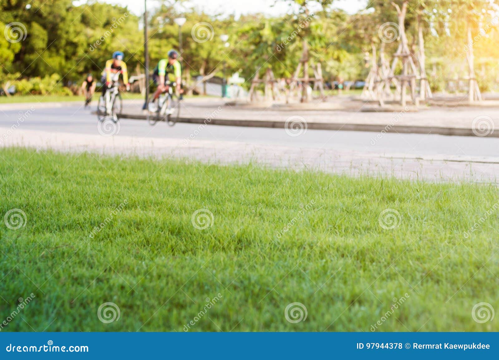 Grass and People Cycling in Park. Stock Photo Image of field, cycling
