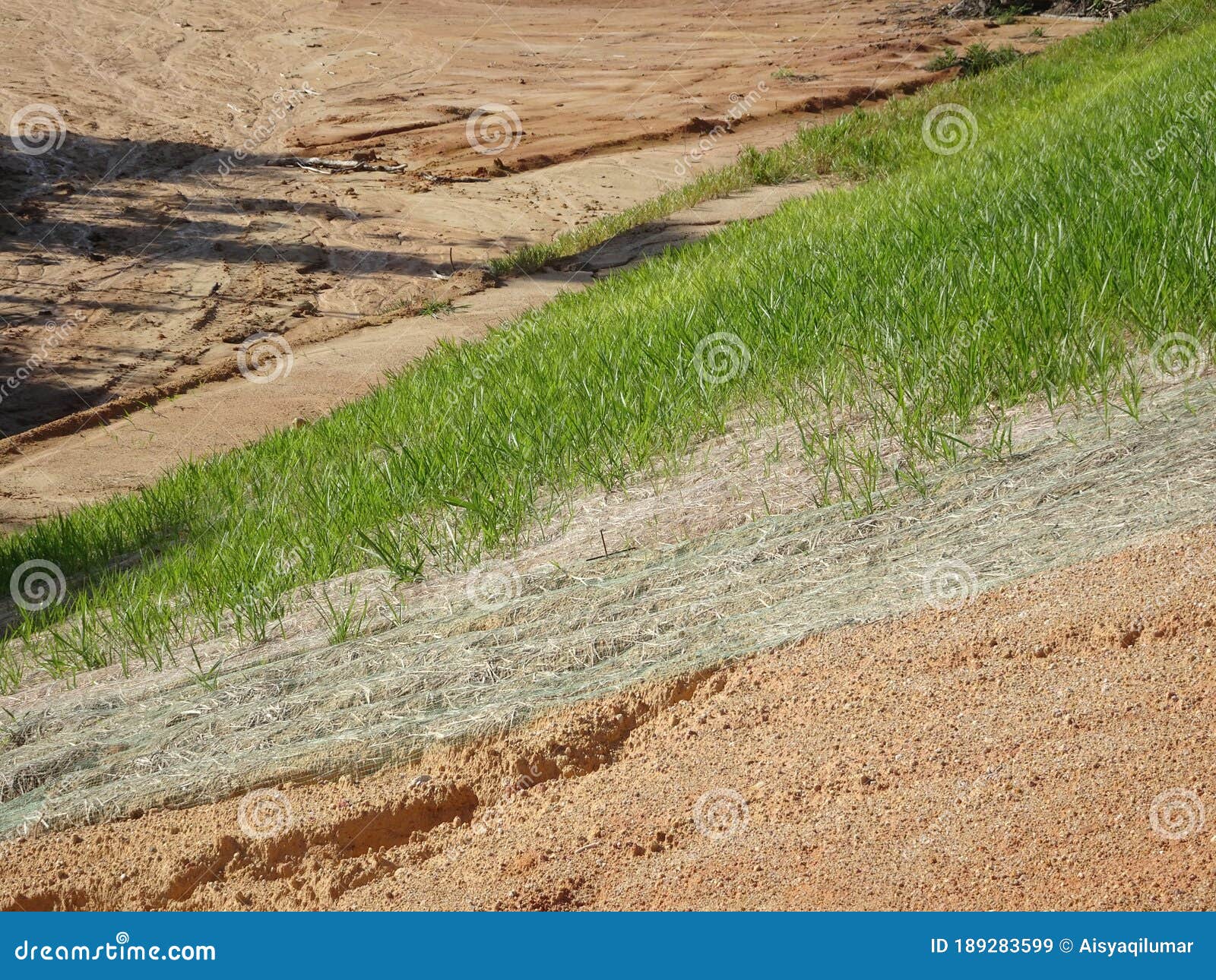 the grass is planted to prevent erosion of the soil slope.