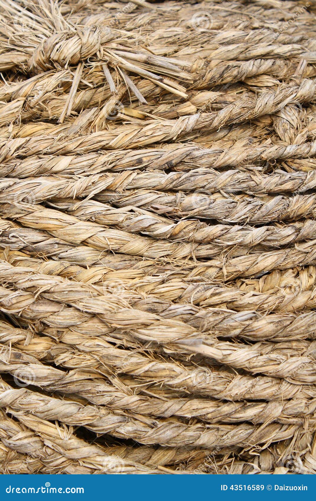 Grass rope stock image. Image of woven, neat, twisted - 43516589