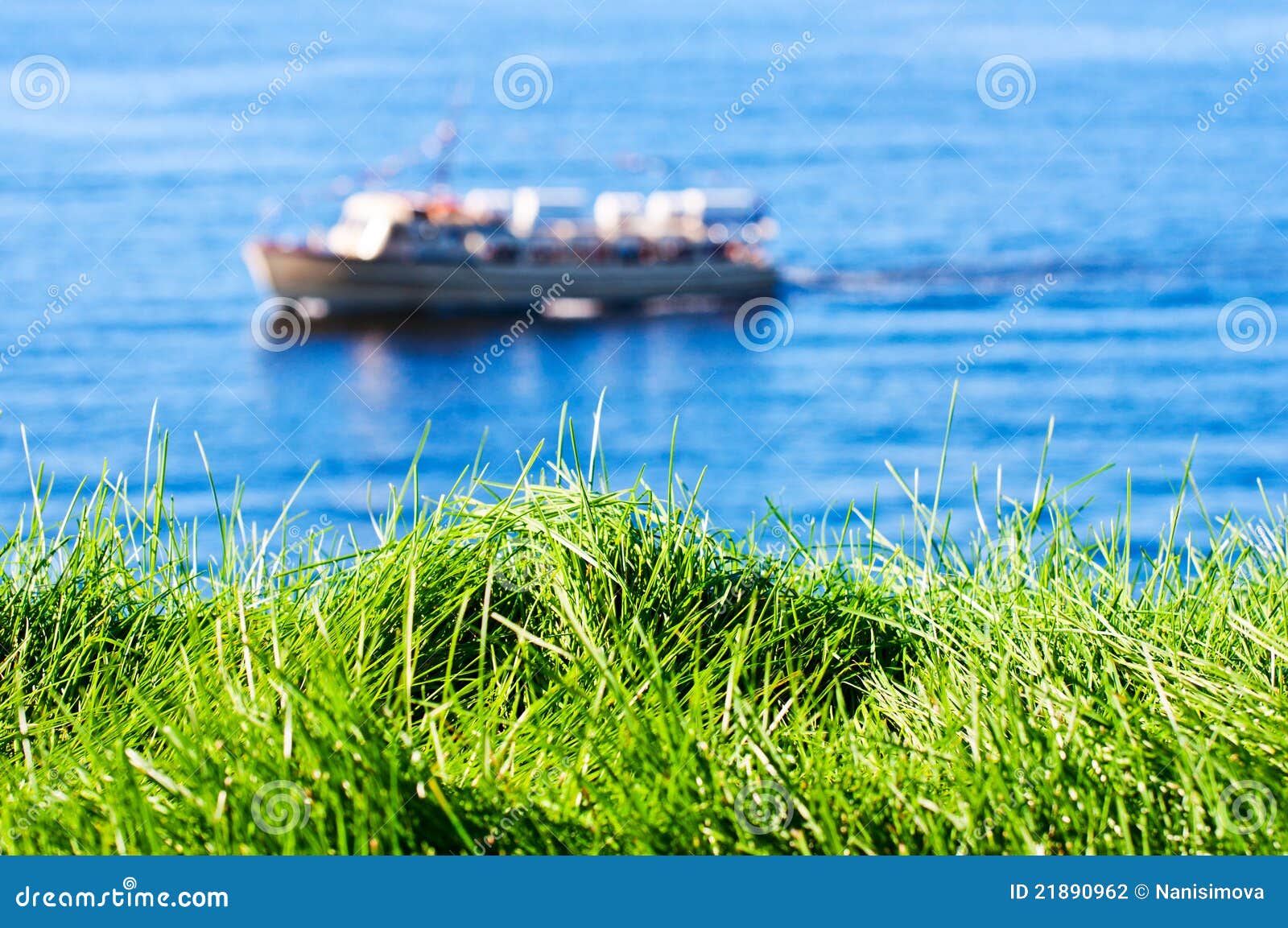 neat image 7.6 full neat image 7.6 full