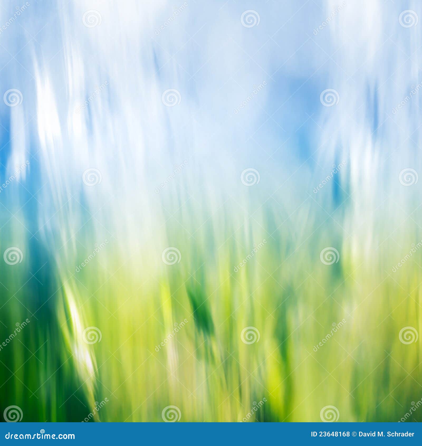 Grass and Sky Abstract stock photo. Image of grass, close 23648168
