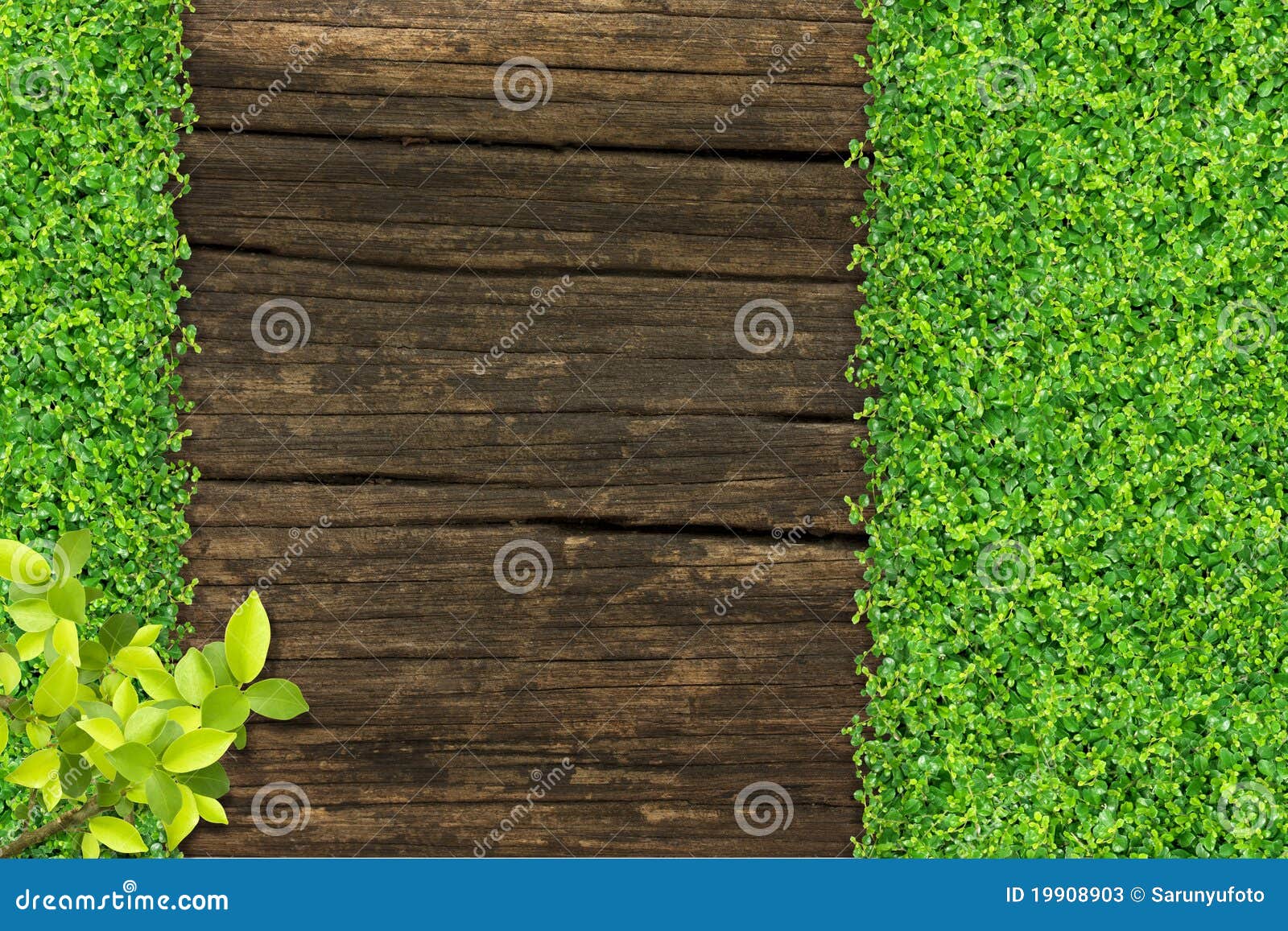 Grass and Small Green Plants Stock Image Image of bunch, materials