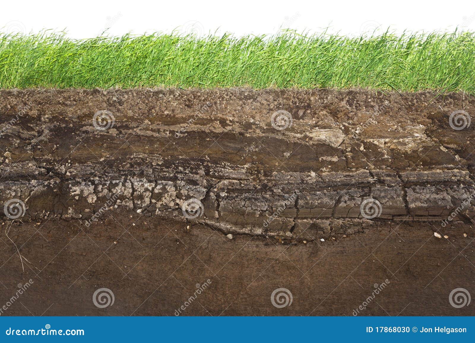 grass and soil layers  on white