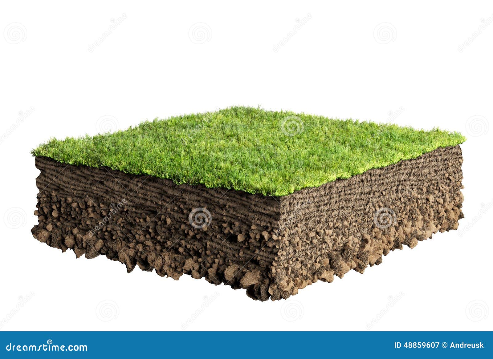 grass and soil profile