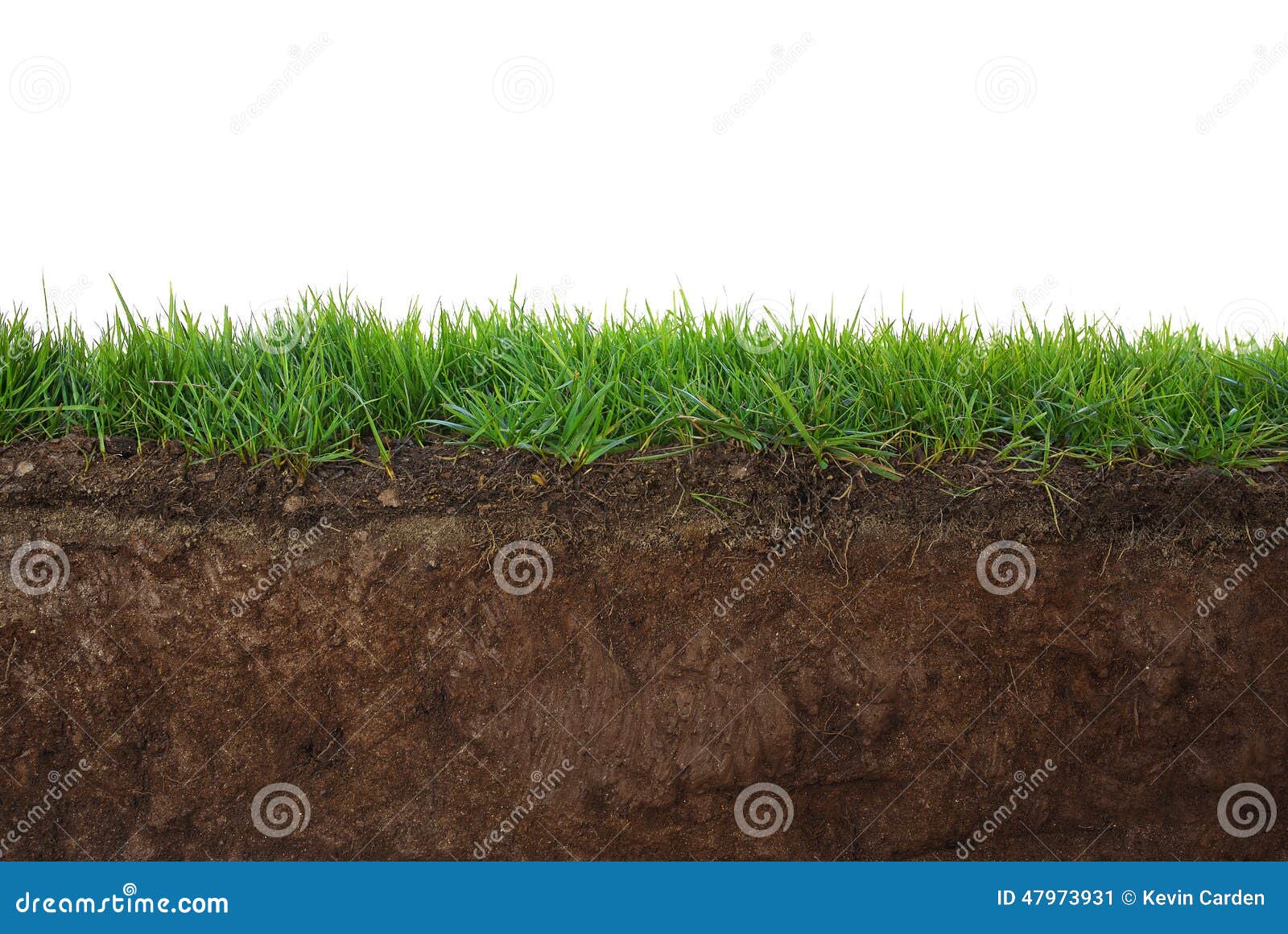 grass and soil