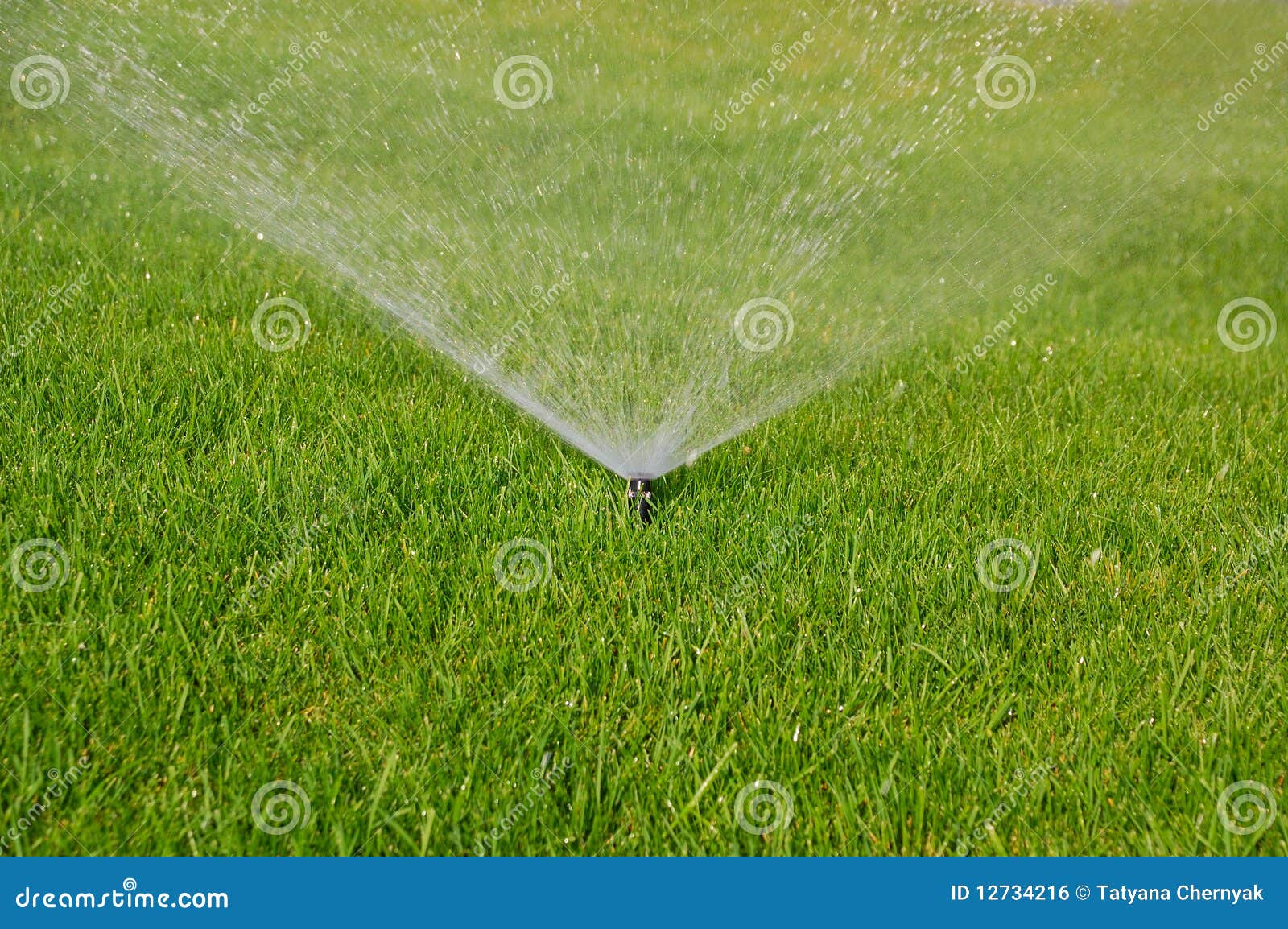Grass sprinkler stock photo. Image of sprinkles, water 12734216