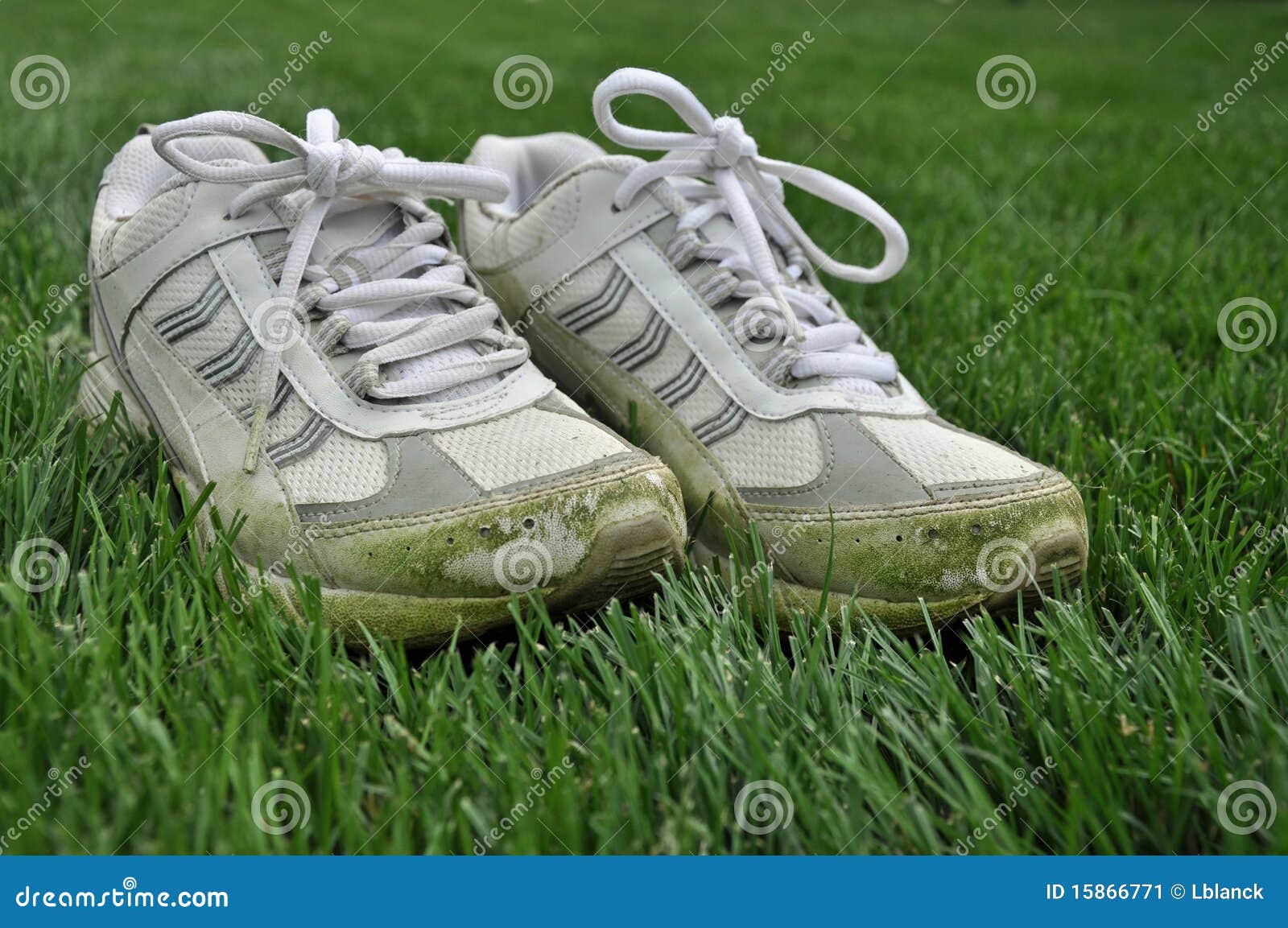 grass tennis shoes