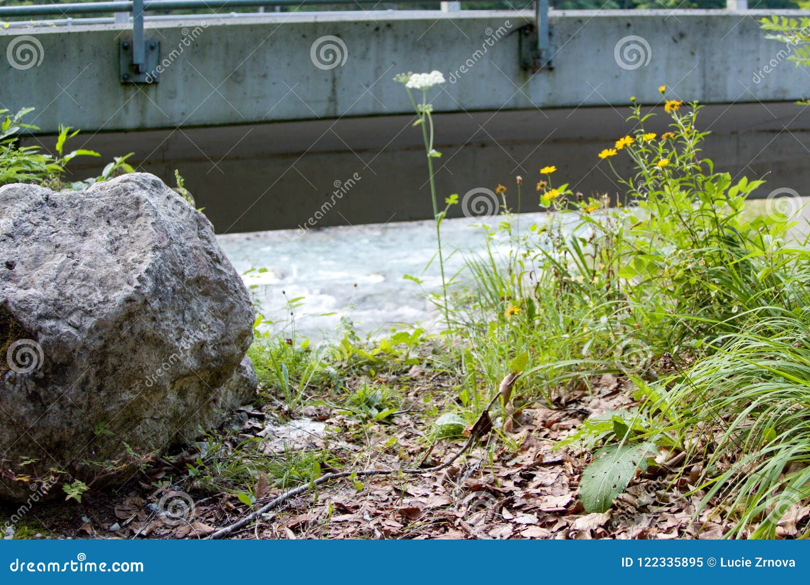 Grass and a Stone Under a Concrete Bridge Stock Image Image of rock