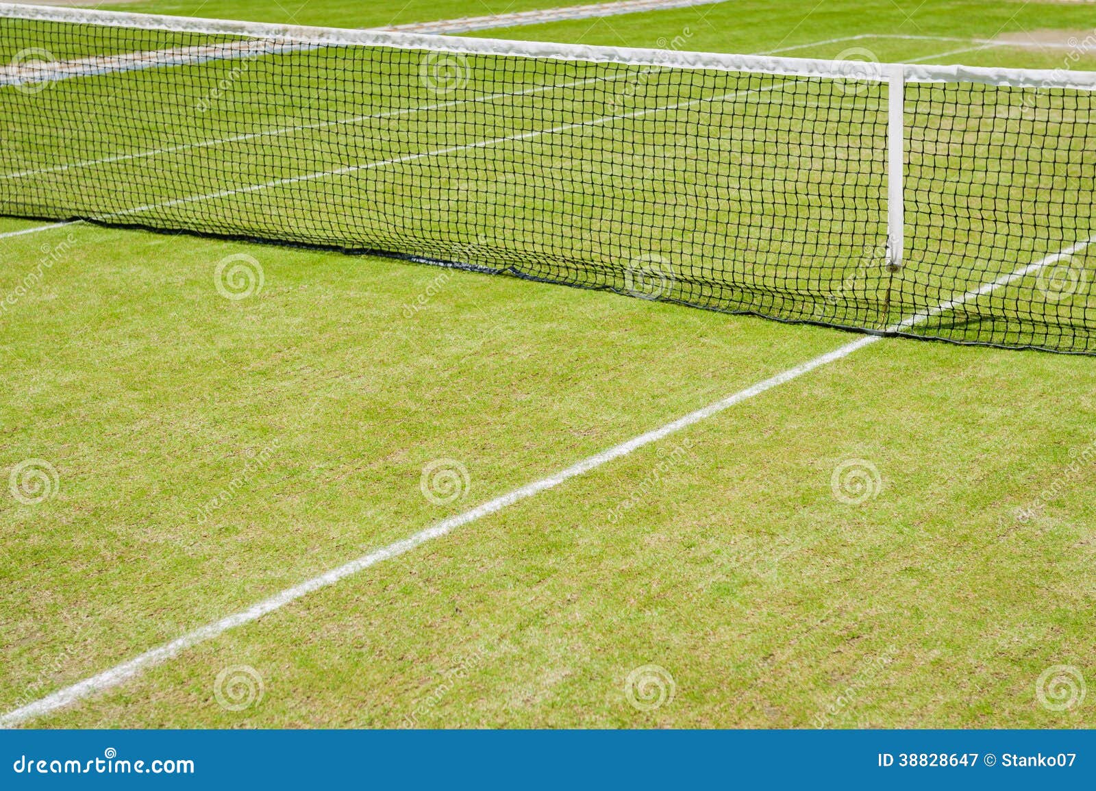 Grass tennis court stock image. Image of championship 38828647
