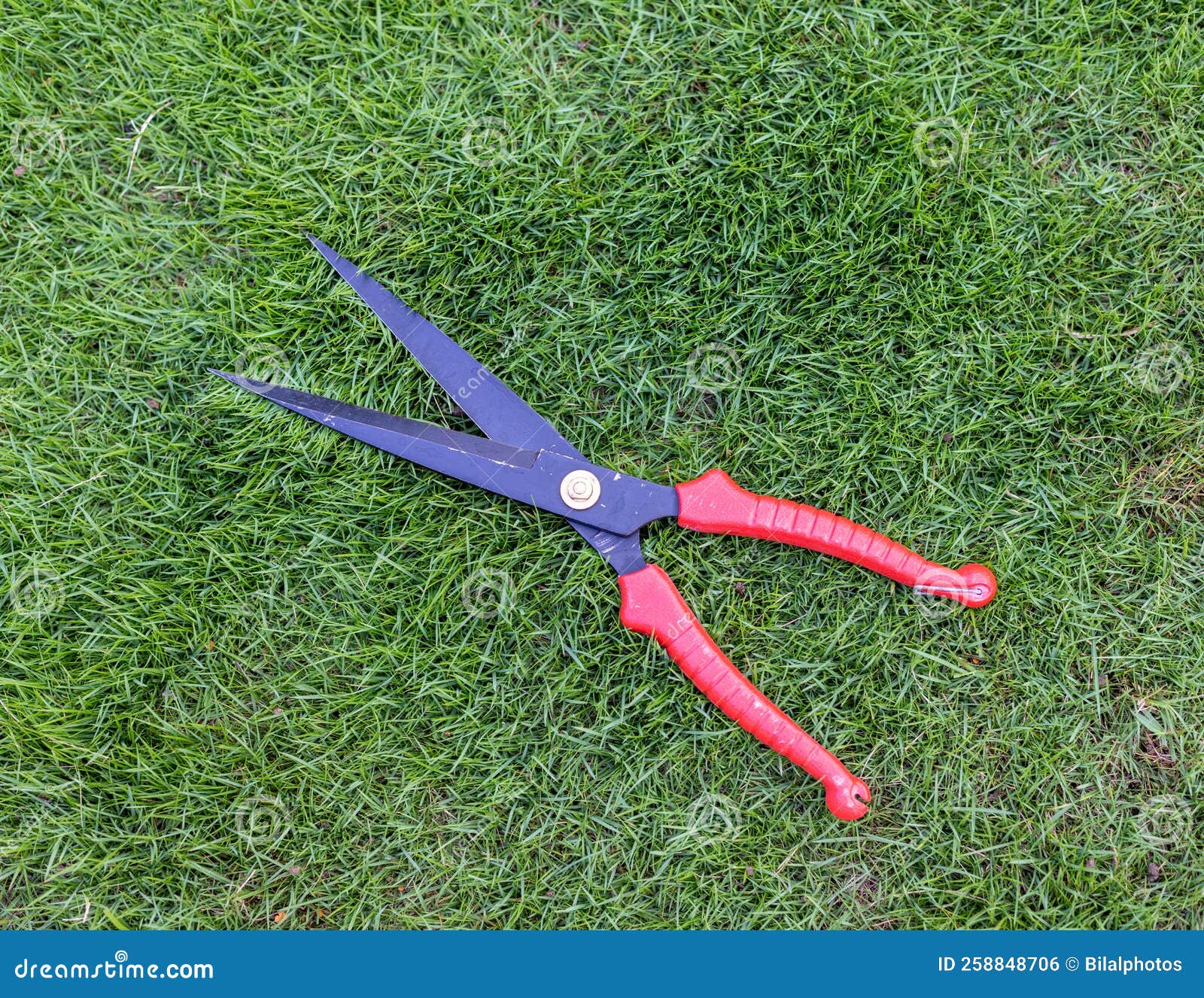 Grass Trimmer for Cutting the Grass and Shrubs Stock Photo Image of