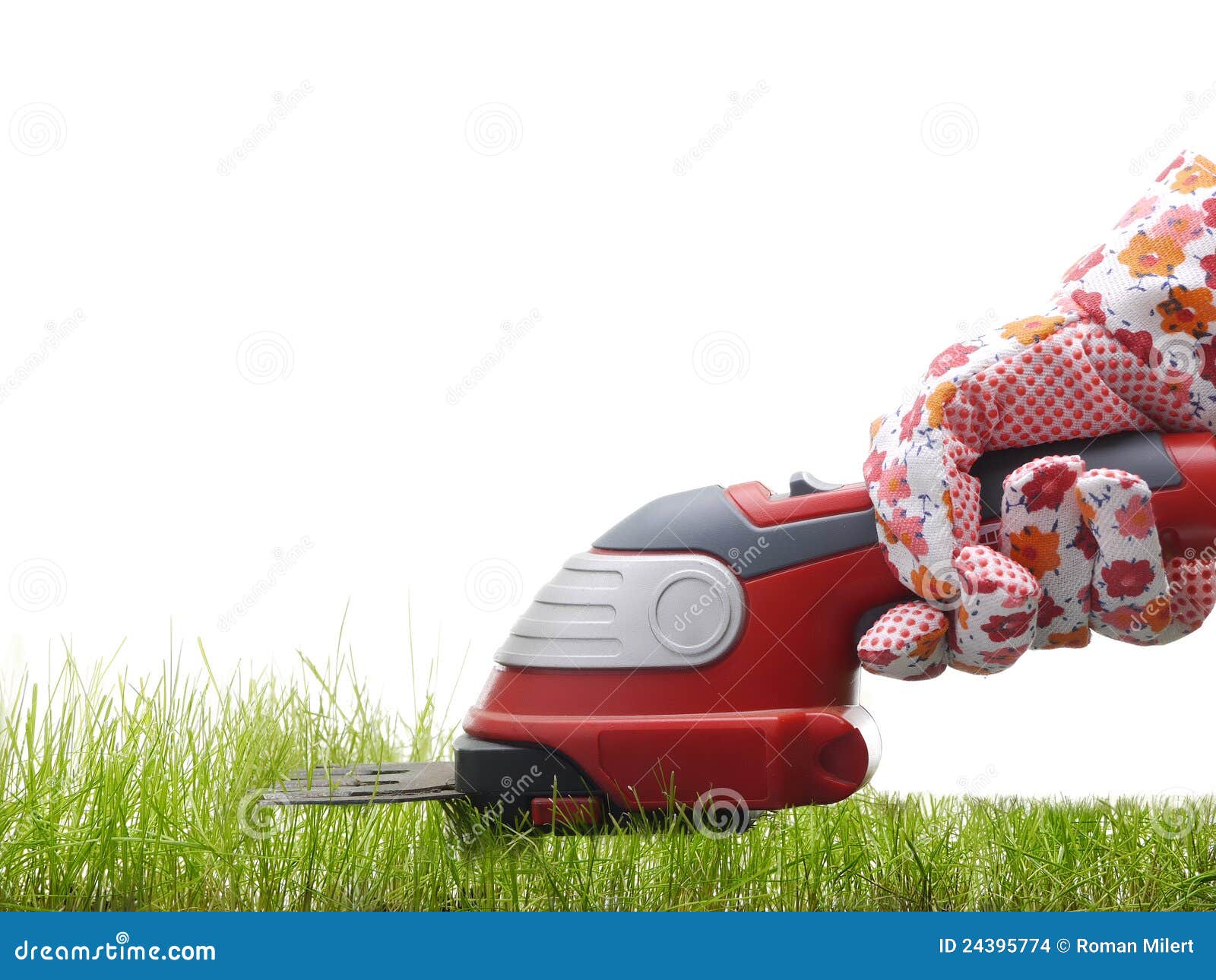 Grass trimming stock photo. Image of nature, people, cutting 24395774