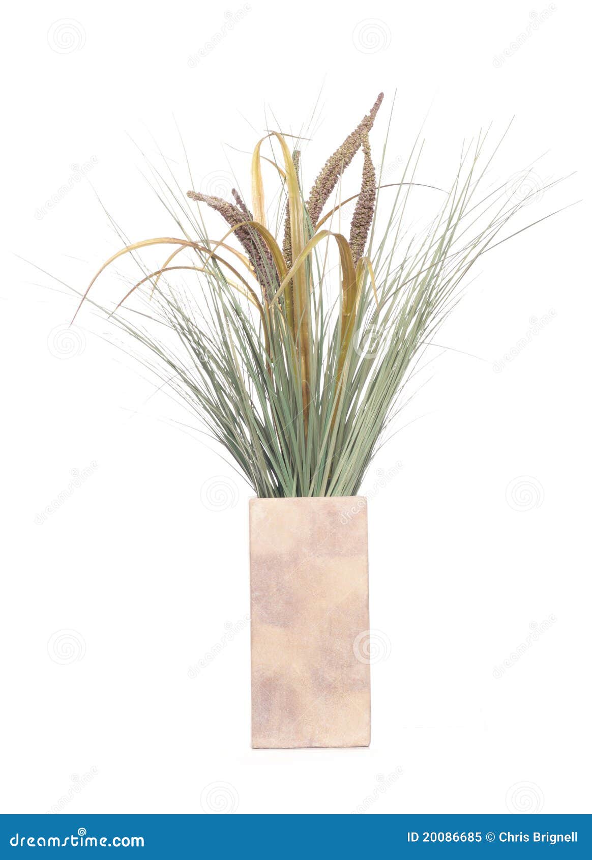 Grass in a vase stock image. Image of cutout, wedding 20086685