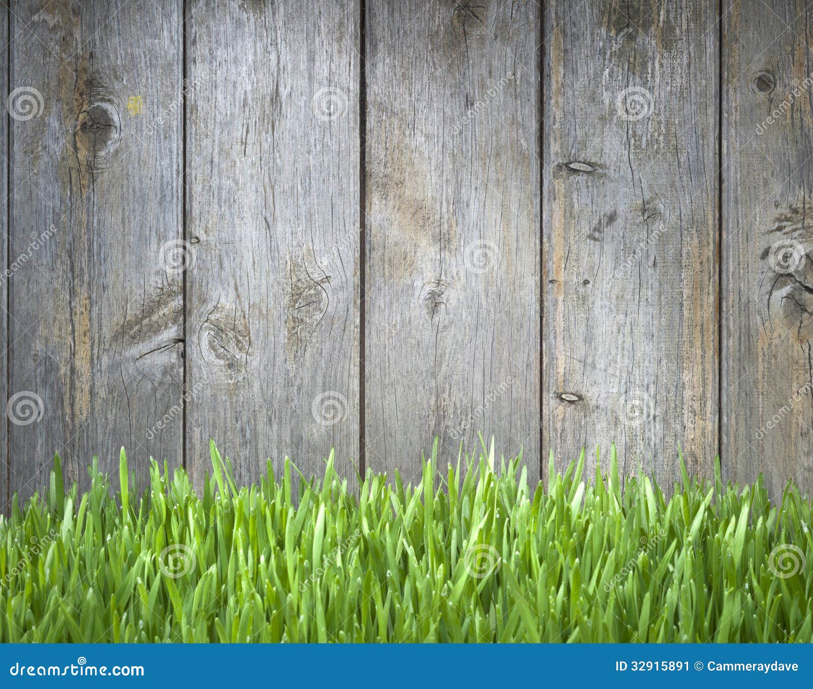 grass wood fence background