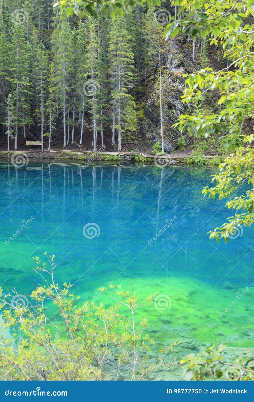 Grassi lakes stock photo. Image of canadians, water, grass 98772750
