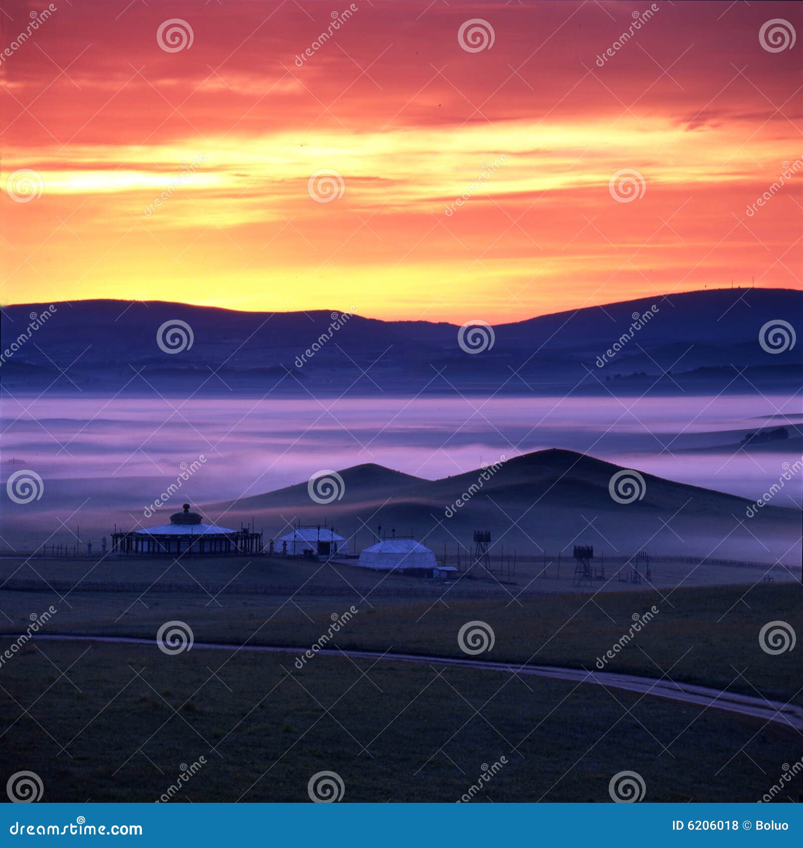 grassland