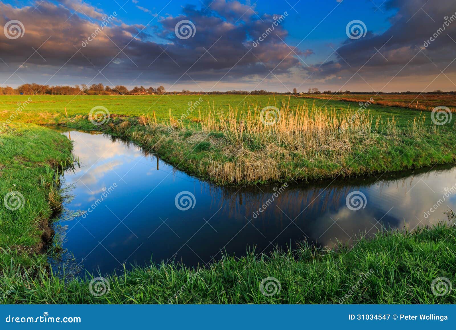 grassland and ditch at sunset
