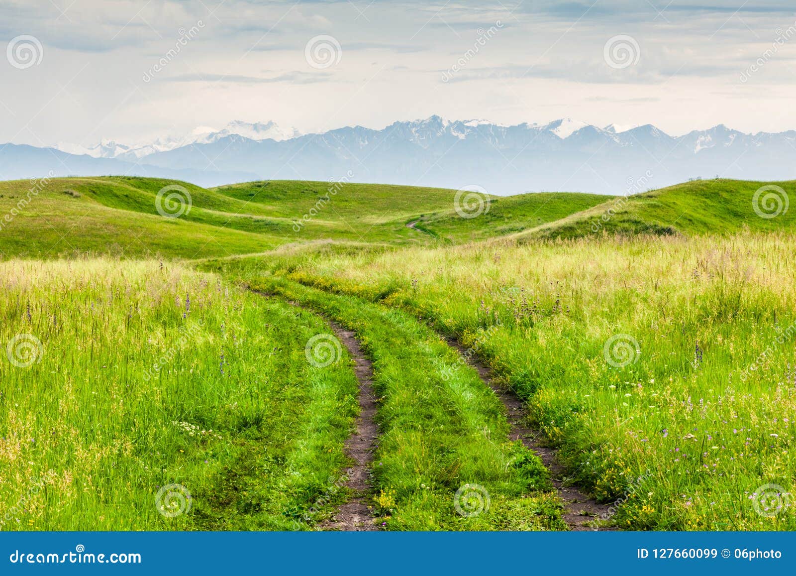 Grassland road stock image. Image of meadow, farm, green 127660099