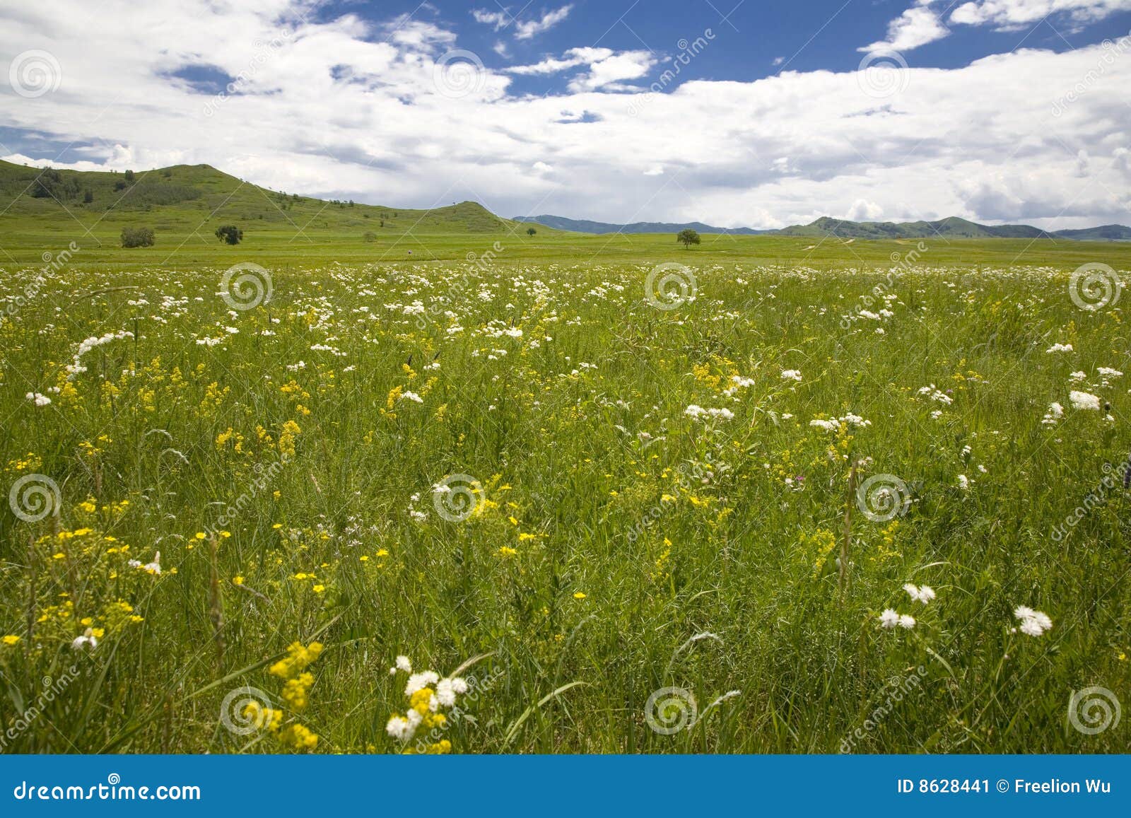 grassland and sky