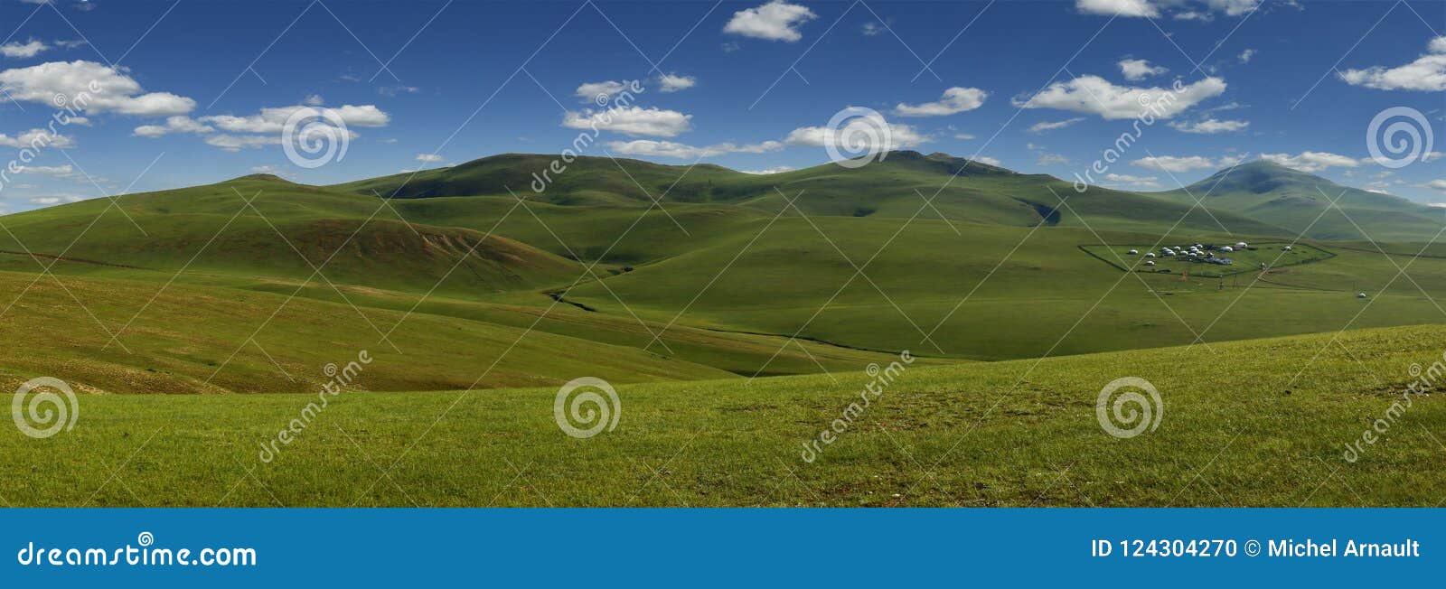 grassland in the steppe of mongolia