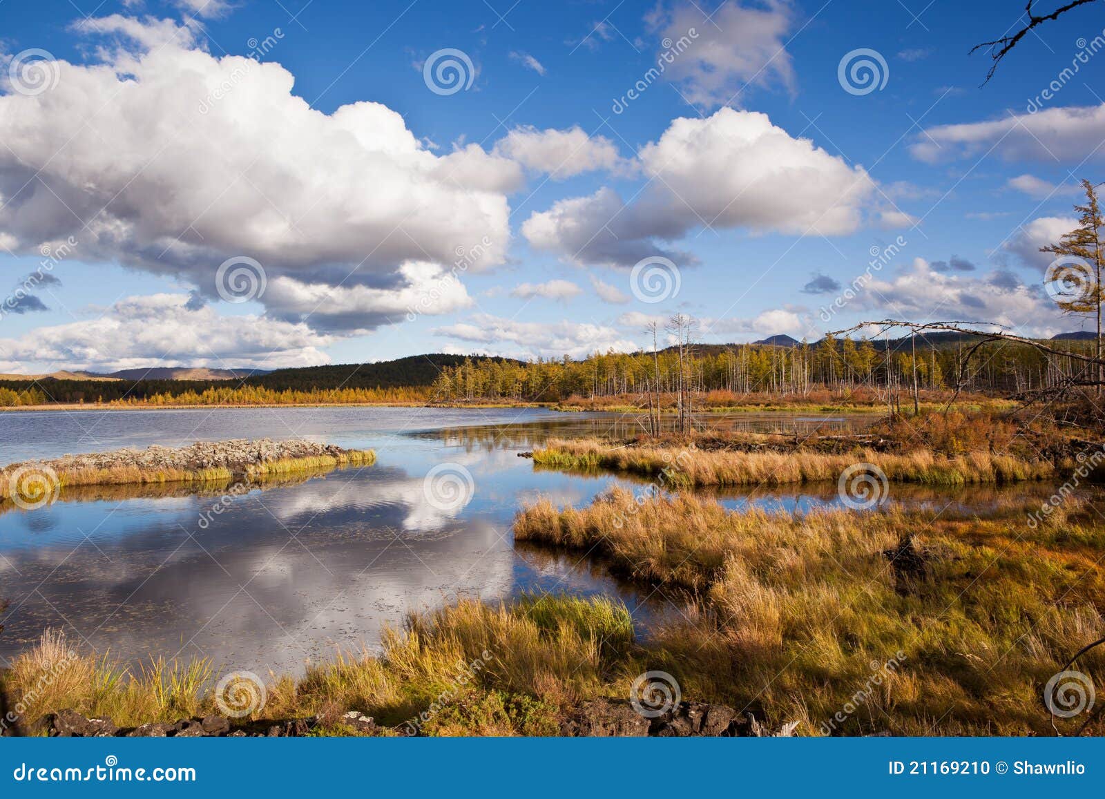 grassland and wetland