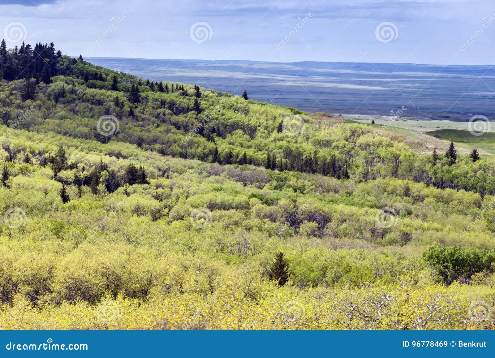 Grasslands National Park of Canada Stock Image Image of village