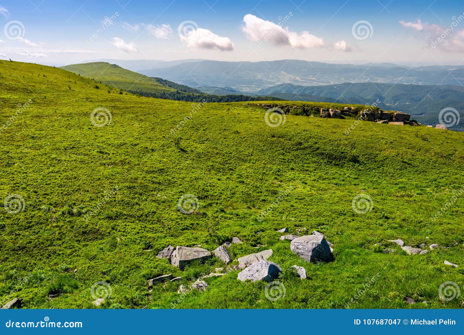 grassy alpine meadow of polonina runa