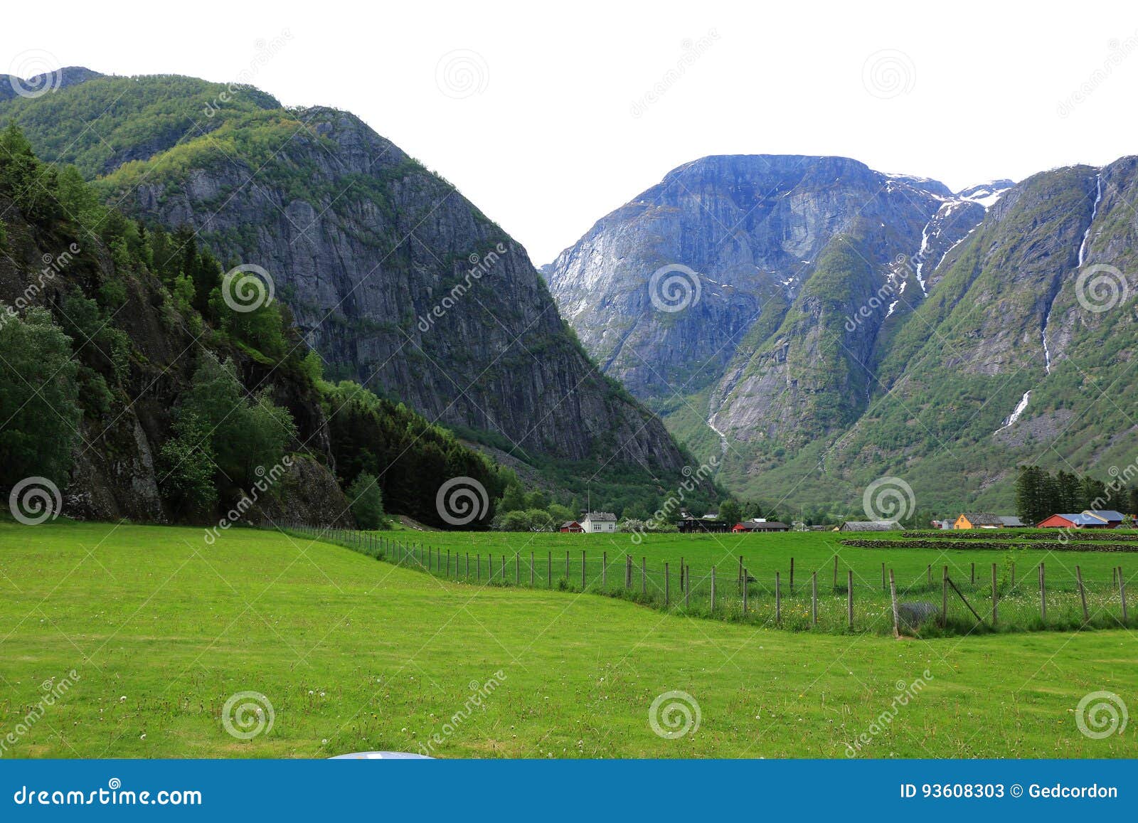 grassy fields and high mountains