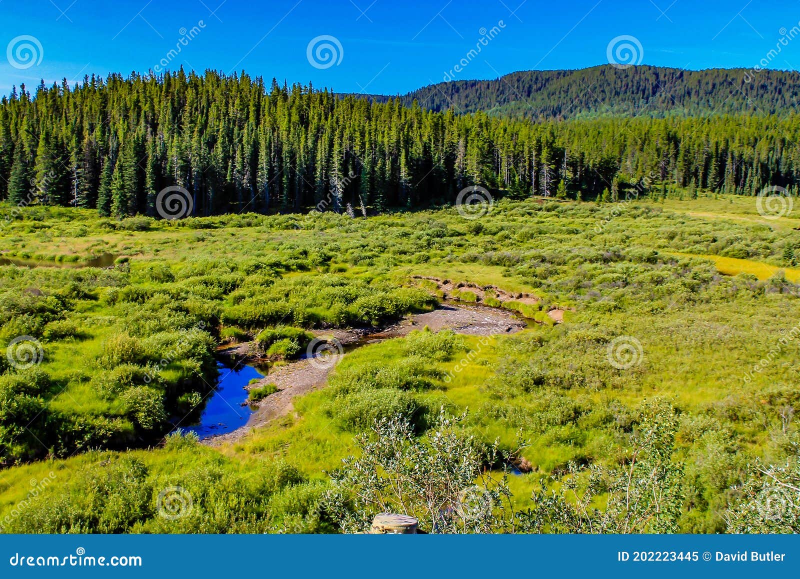 grassy fields,streams and fall colours can all be seen from the road. waiprous village,alberta,canada