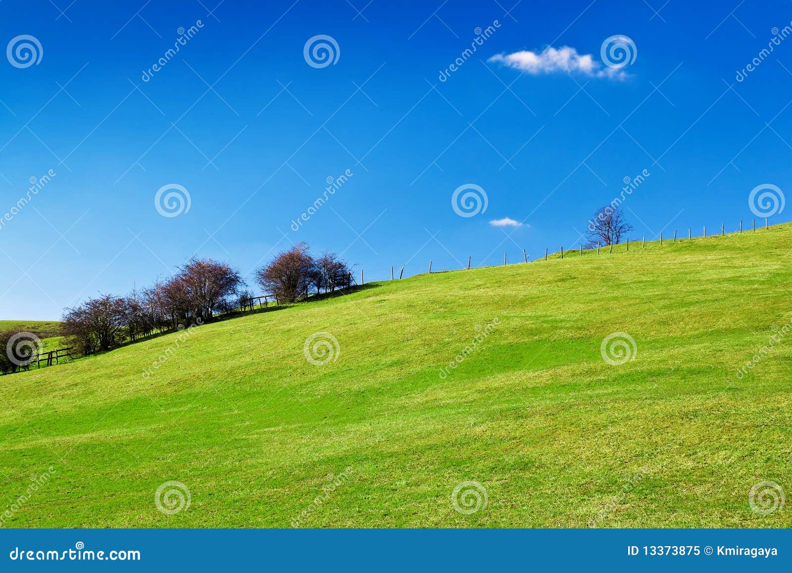 Hill stock image. Image of field, blue, freshness, cloudscape - 13264359