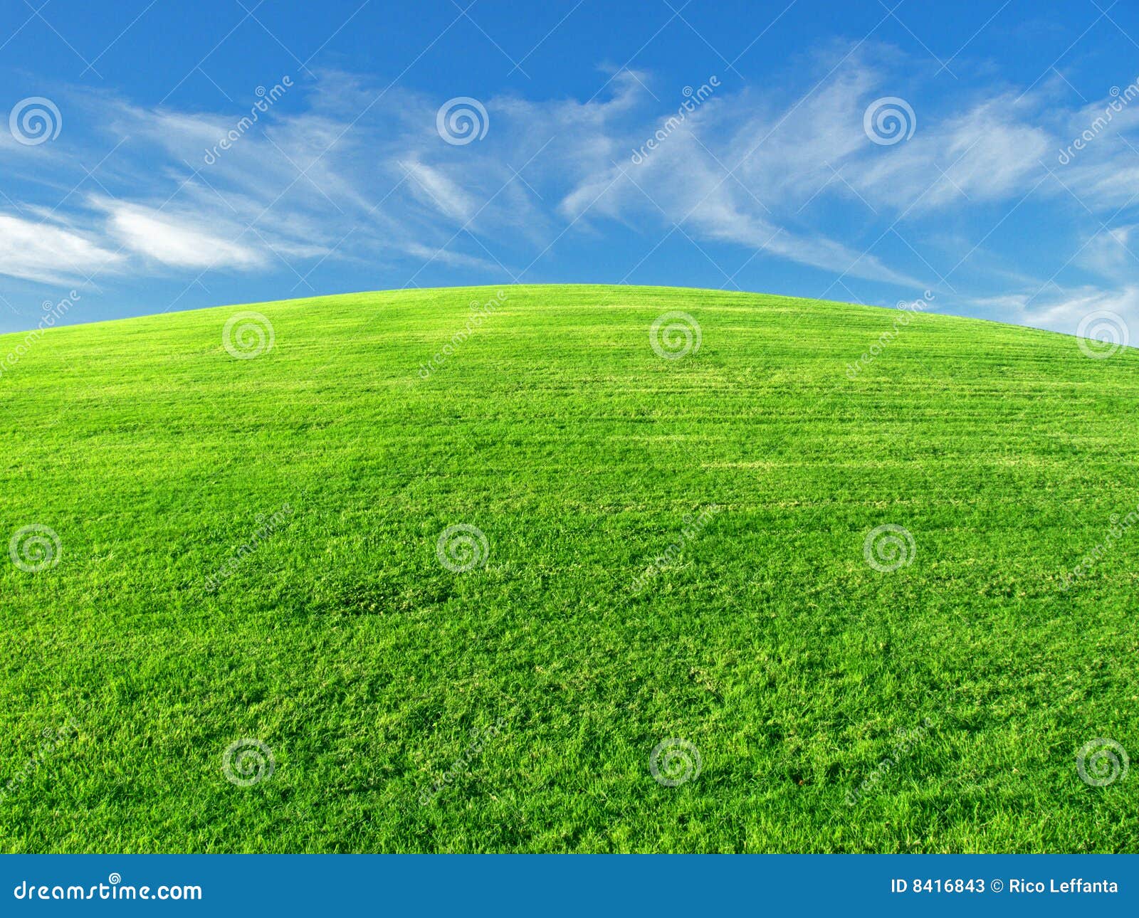 grassy hill