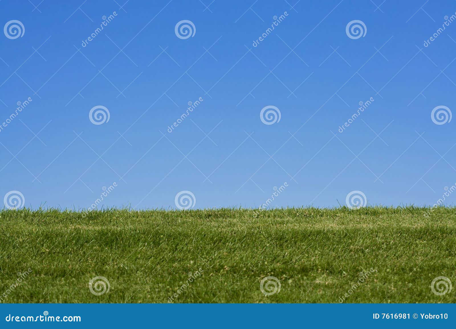 grassy hill background