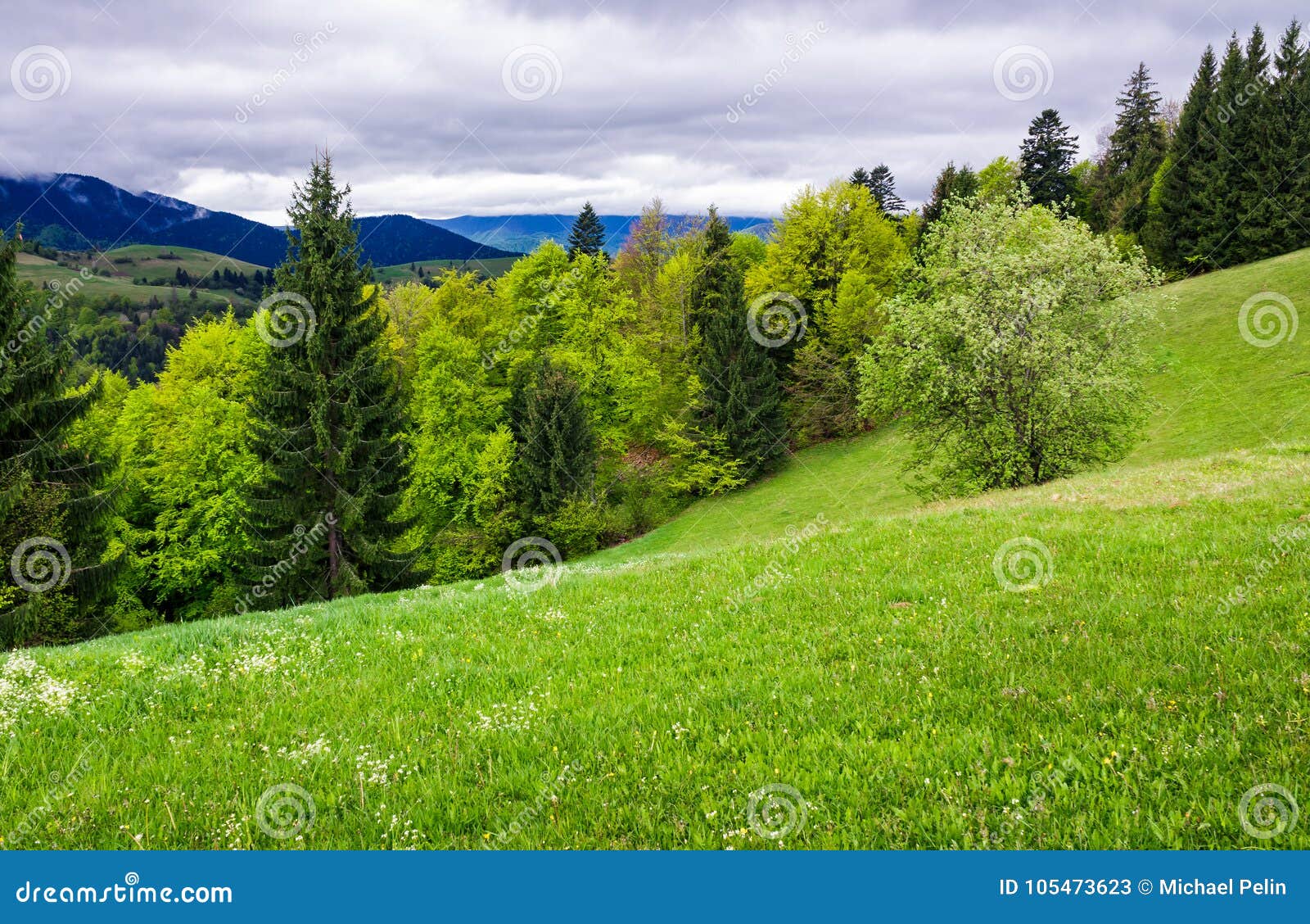 700+ Free Hillside & Nature Images - Pixabay