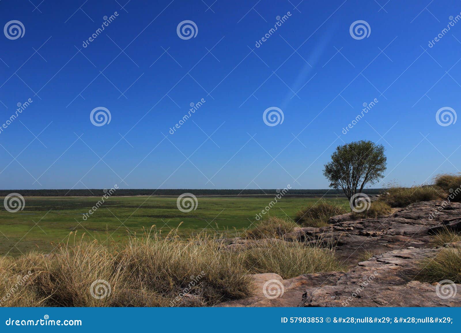 Grassy plain editorial stock photo. Image of plain, looking 57983853