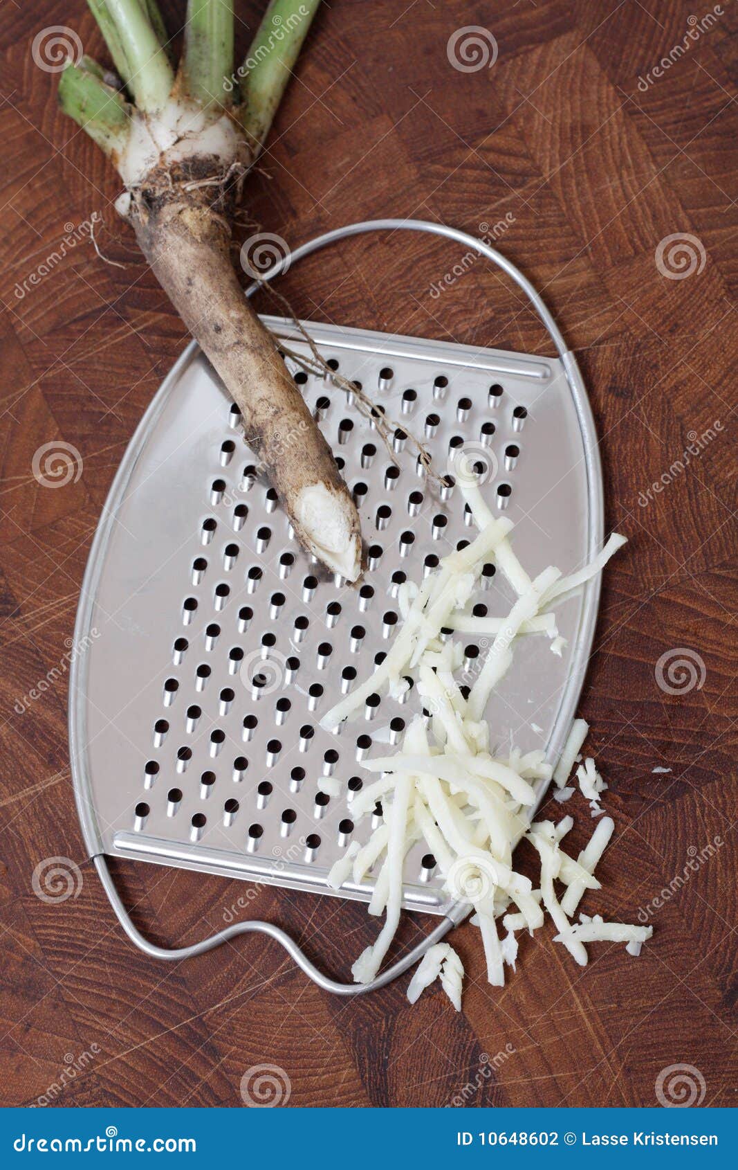 Grated horseradish stock photo. Image of fresh, meaty 10648602
