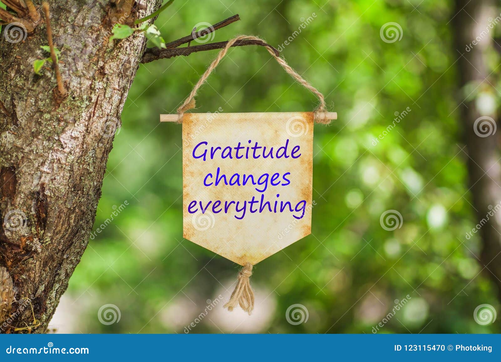 gratitude changes everything on paper scroll