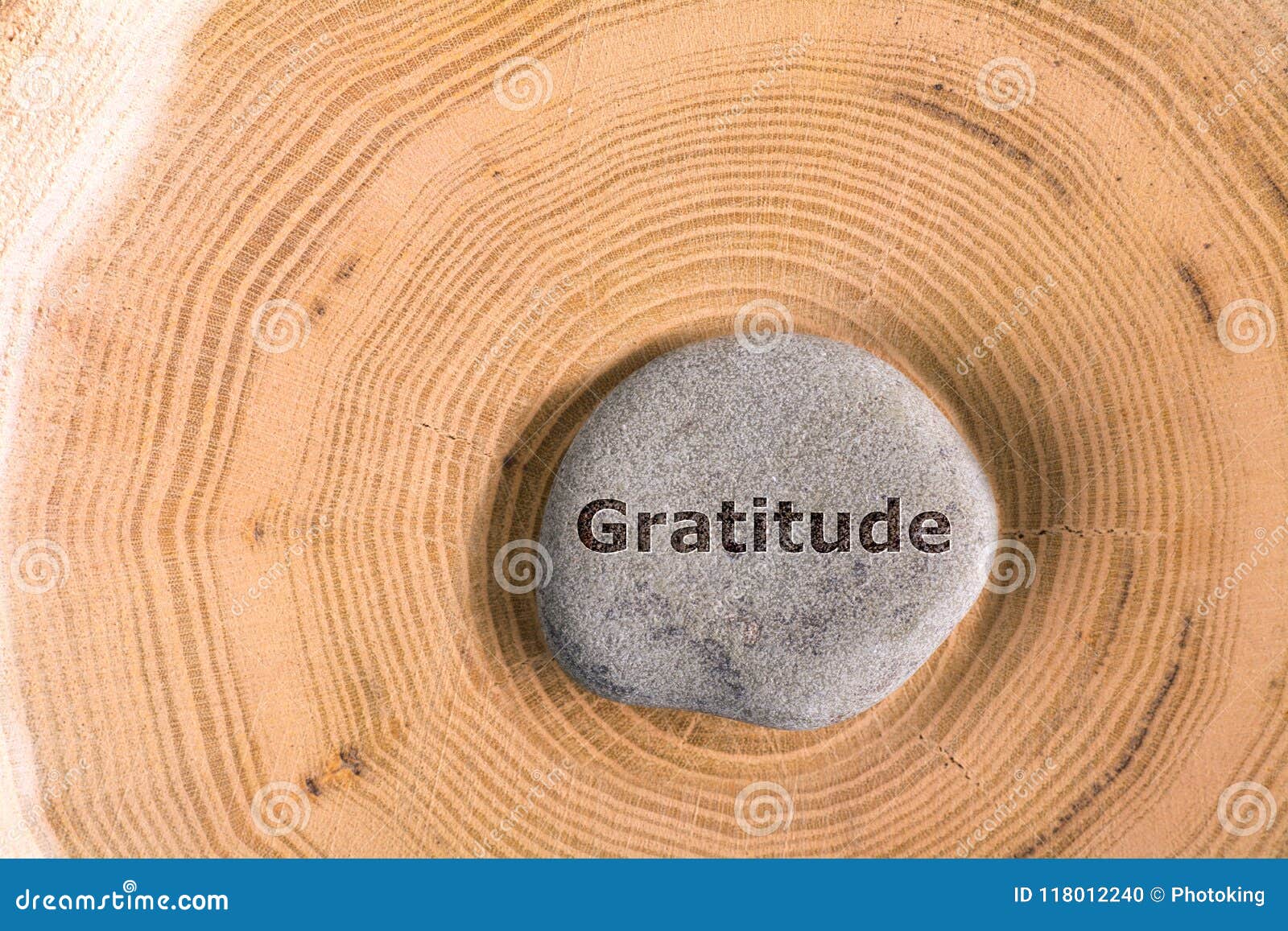 gratitude in stone on tree