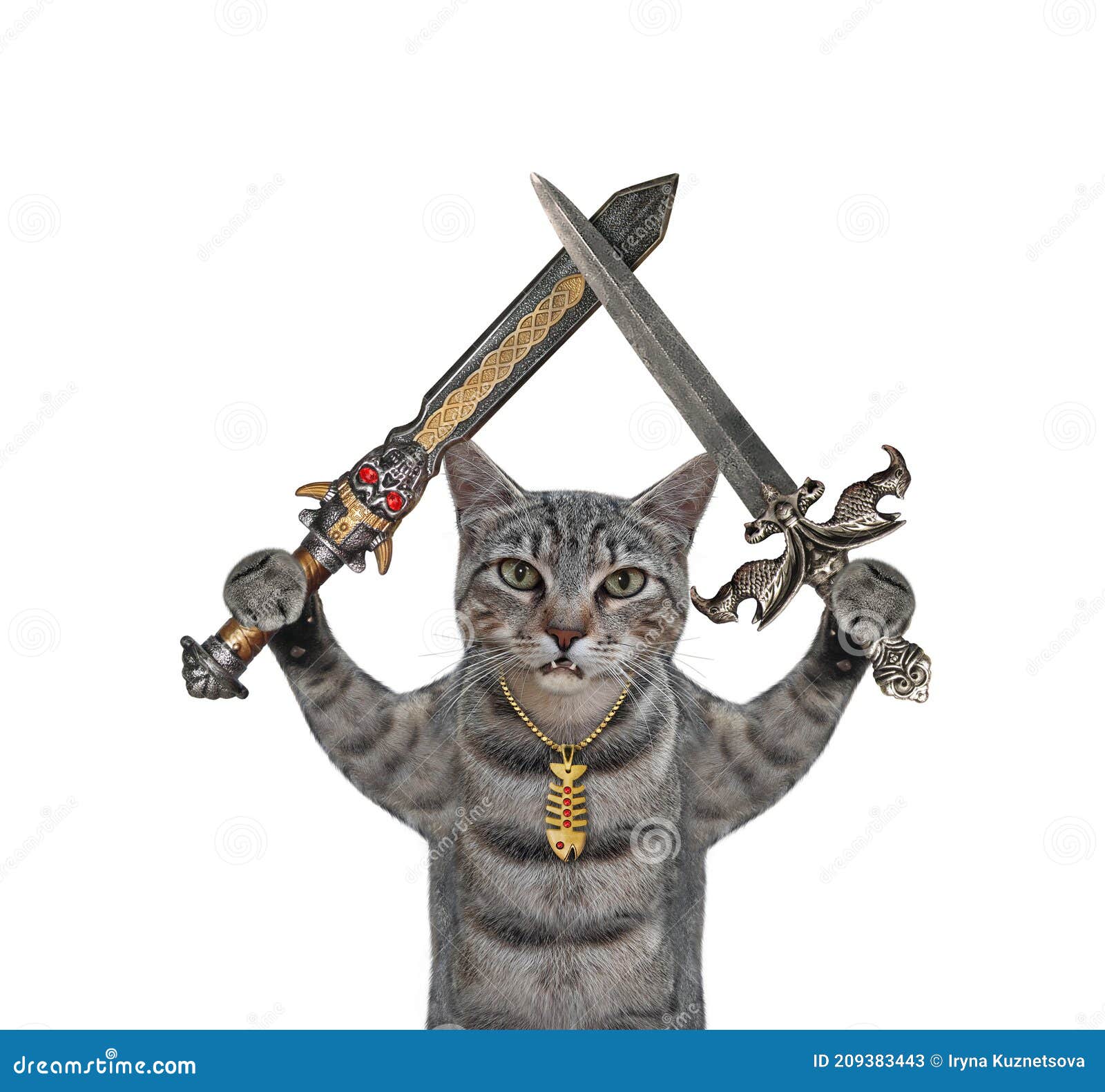 Graue Griffe Der Katze überquerten Schwerter Stock Abbildung - Illustration  von angriff, konzept: 209383443