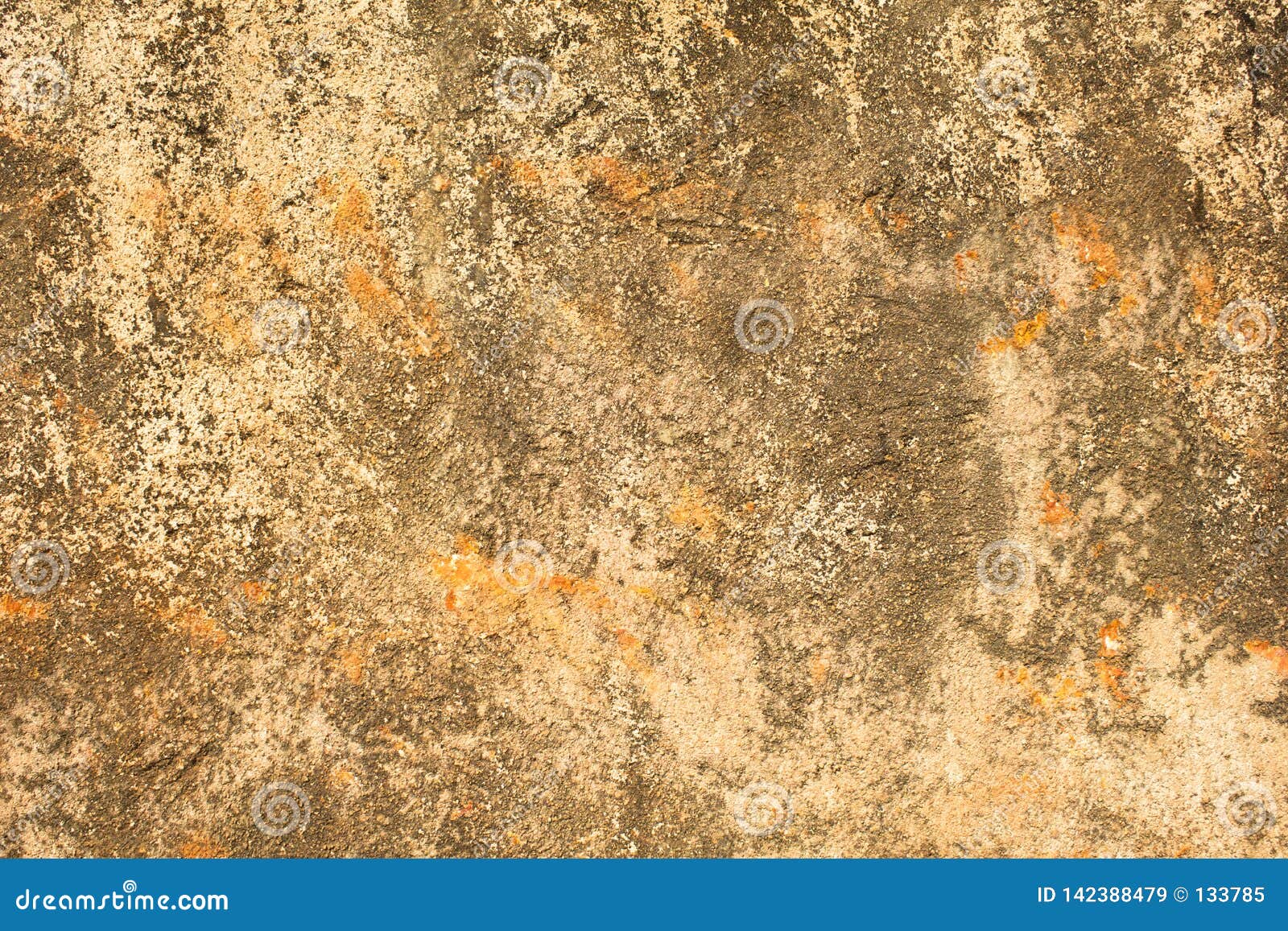 Eine graue weiße gelbe alte zerschlagene Betonmauer mit orange Stellen, tiefen Kratzern und Flecken des Mooses und der Form Raue Oberflächen-Beschaffenheit