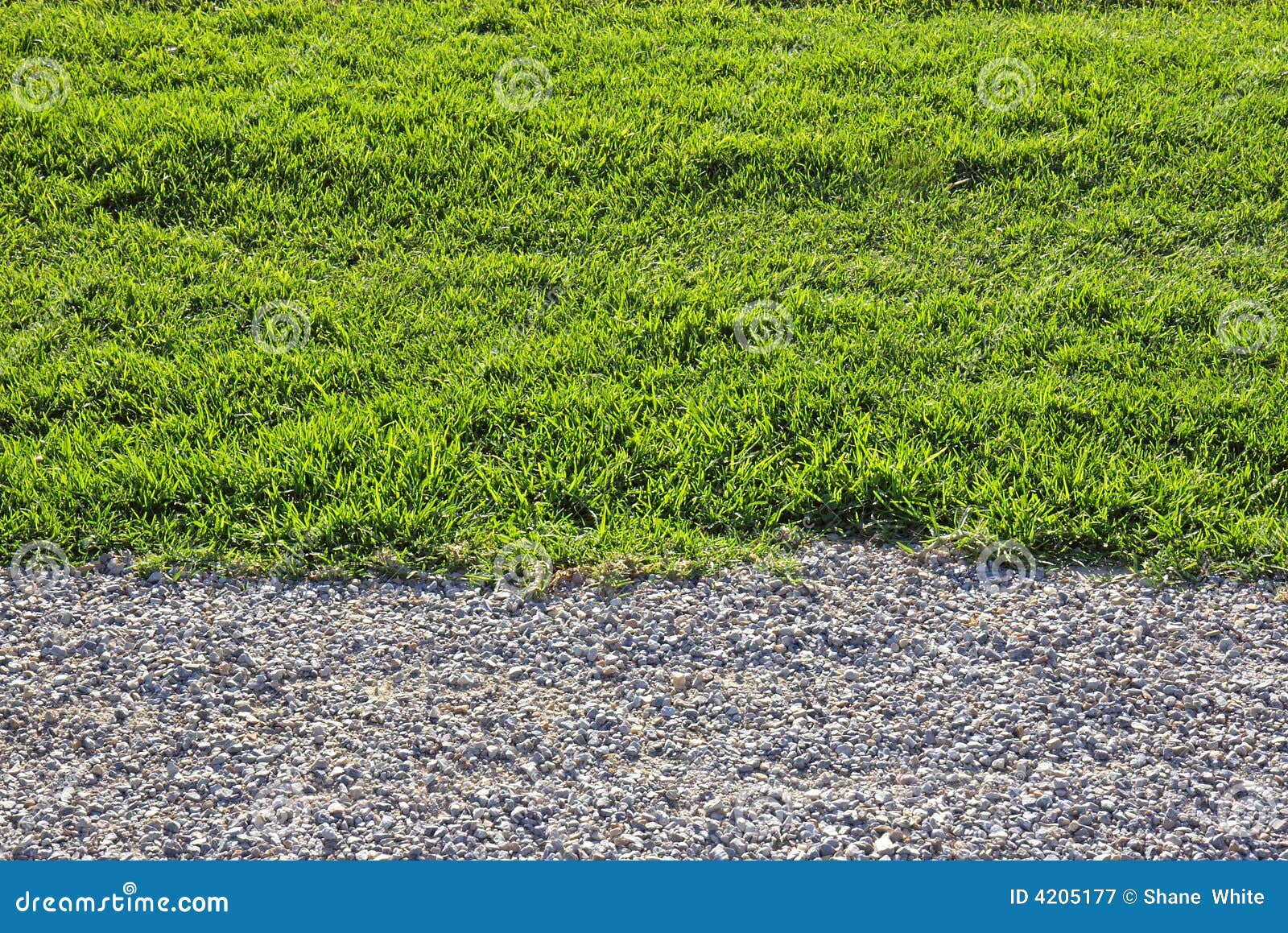 Gravel and grass. A background of gravel and green grass.