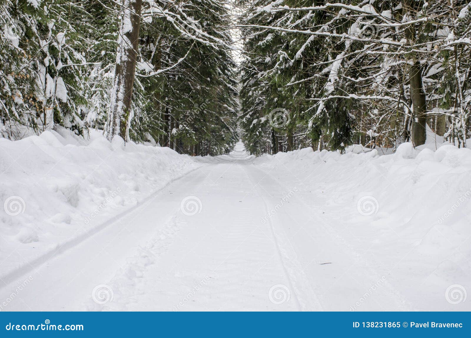 a gravel road in deep forrest under snow in winter.