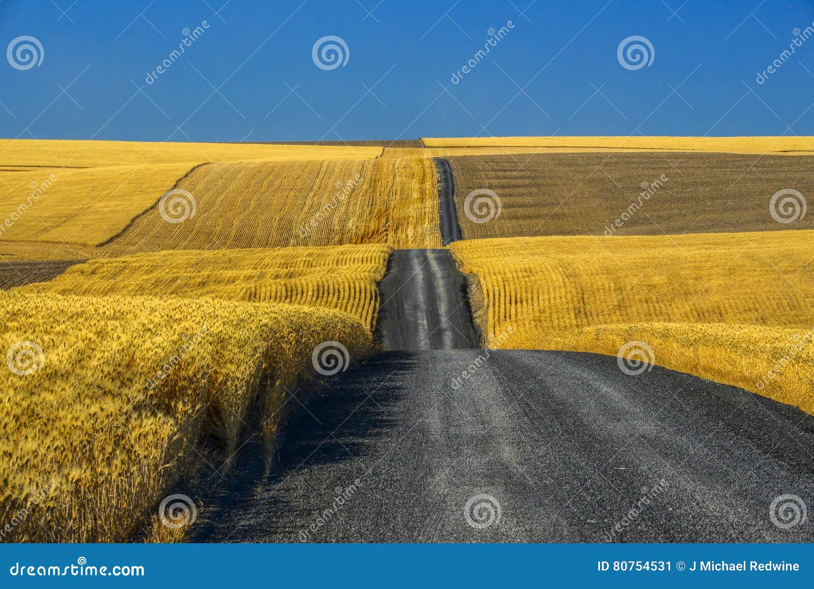 Gravel Road through Wheat Fields Stock Image Image of eastern