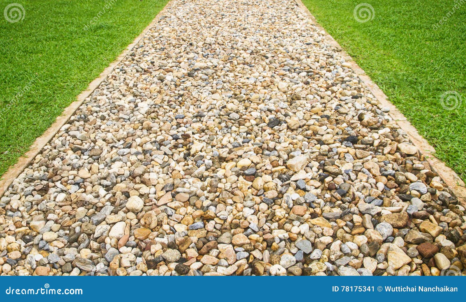 Gravel Walking Path in a Grass Field Stock Image Image of field, walk