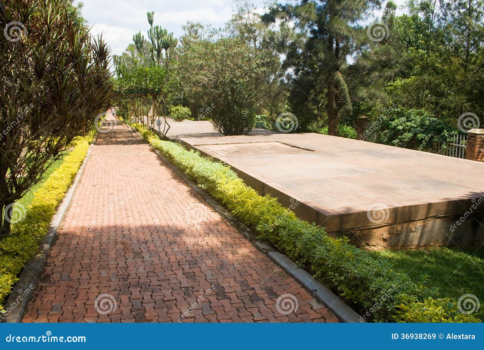 graves of kigali genocide memorial centre
