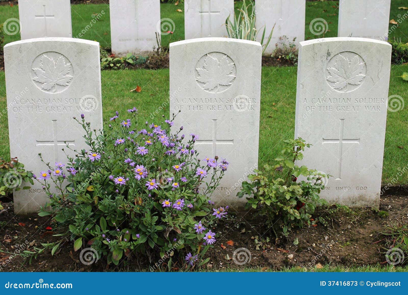 graves of three unknown ww1 canadian soldiers