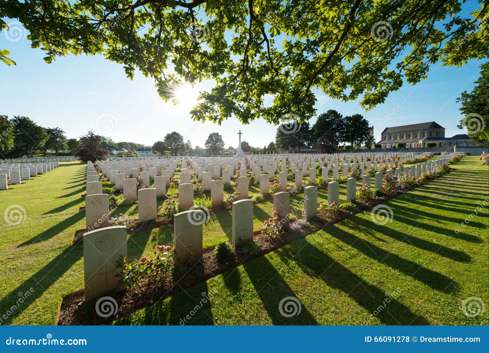 graves and tree in back-light, in an english military cemetery in normandy, at ranville