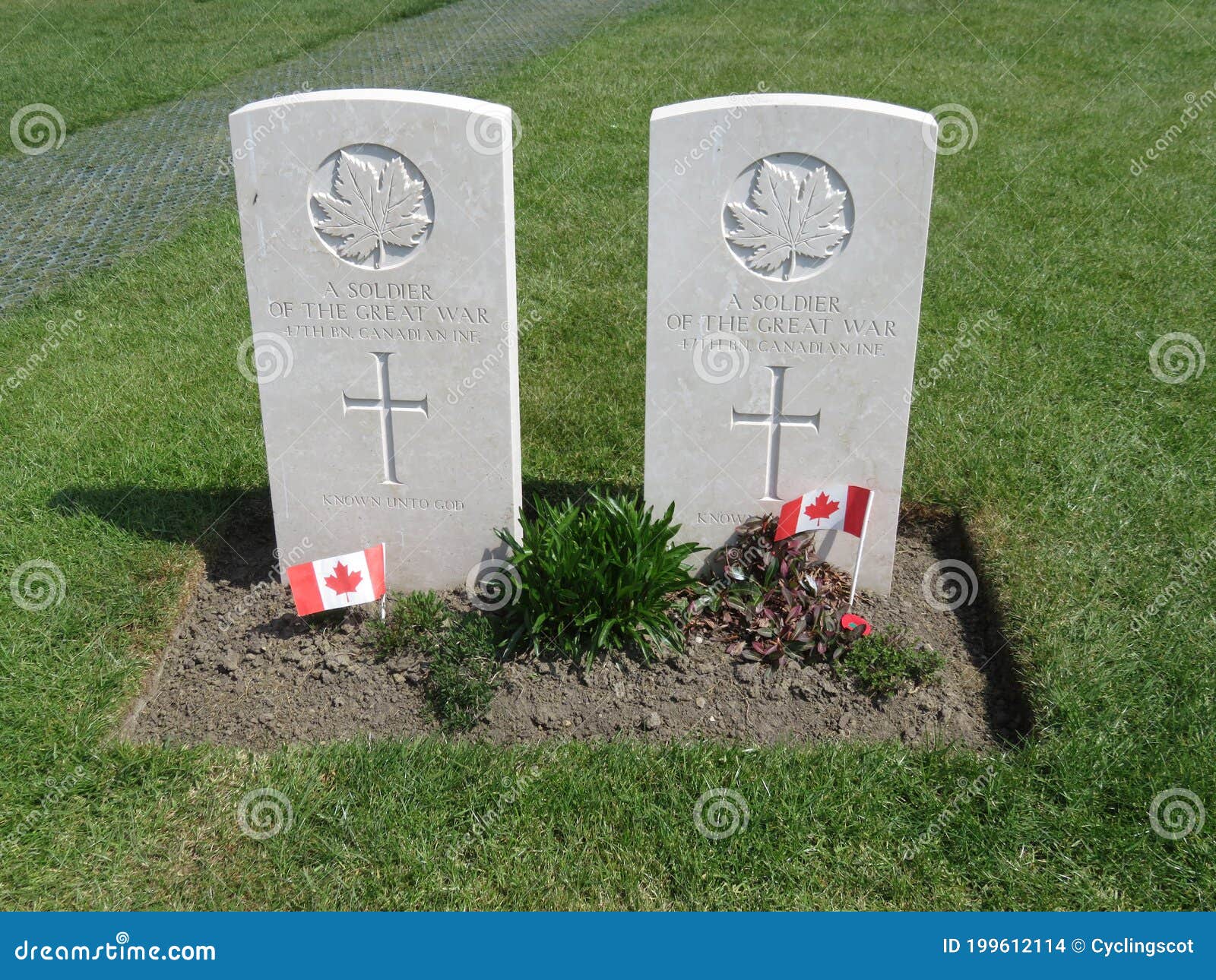 Graves of Two Canadian WW1 Soldier Graves, Tyne Cot Cemetery, Near ...