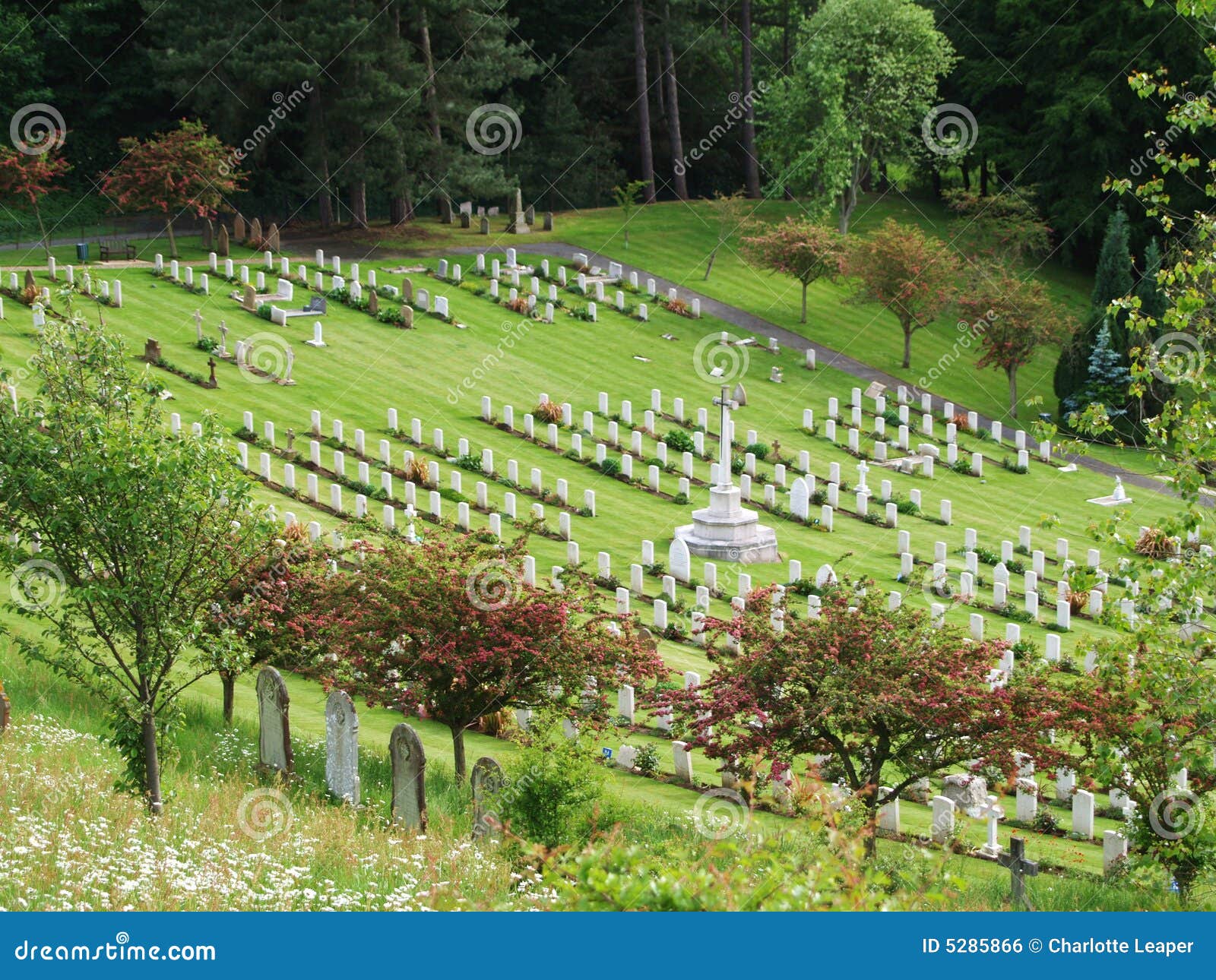 Gravestones in Memorial Graveyard Stock Photo Image of grave